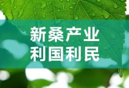 新桑产业，利国利民