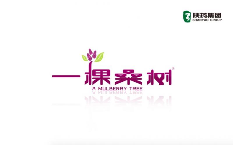 陕药集团实业公司启动“一棵桑树”健康品牌项目